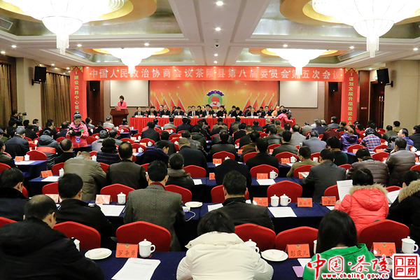政协茶陵县第八届委员会第五次会议胜利闭幕