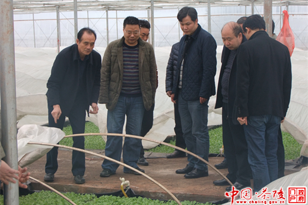 刘继承深入烟草局调研工作