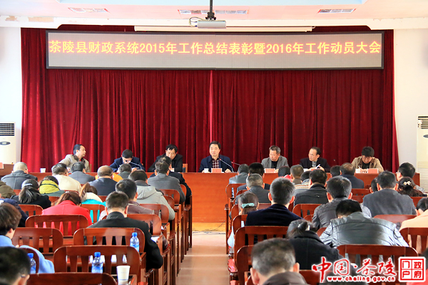 茶陵县财政系统工作会议召开