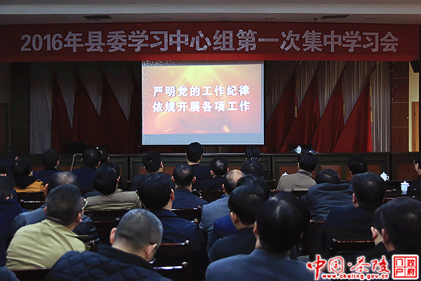 茶陵县领导干部新年集中观看“两部法规”专题教育片