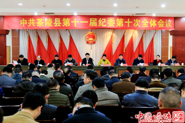 中共茶陵县第十一届纪委第十次全体会议召开