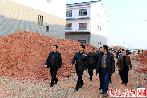 姜衡湘到南站新区督察项目建设