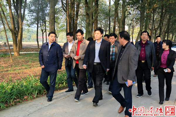 彭新军调研指导教育工作