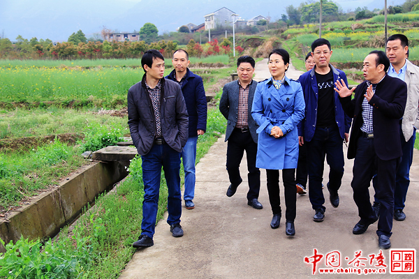 江小忠调研指导城市建设工作