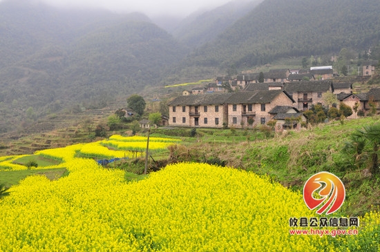 攸县有个“长寿村”　村中零癌症