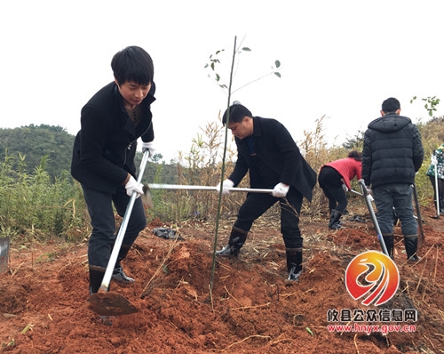 县卫计局组织开展义务植树活动
