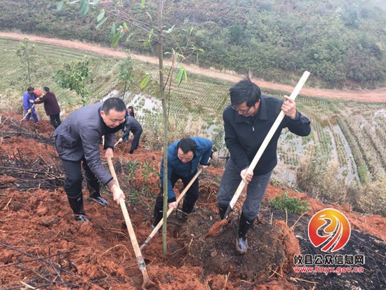 党政军民齐种树 攸州大地添新绿