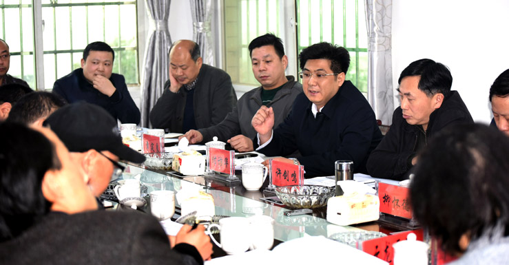 付访华要求做好“五个到位”达成项目建设目标