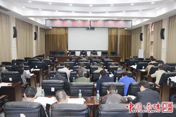 茶陵县乡镇党委换届工作正式启动