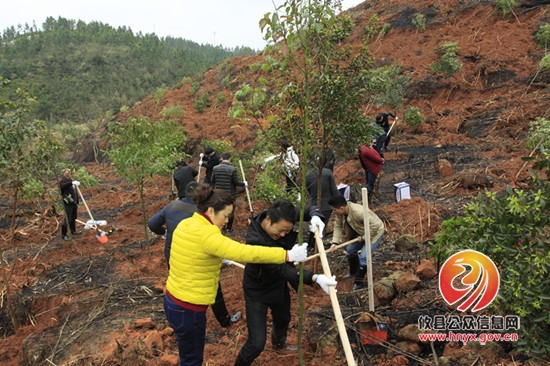 县民政局积极参加全县义务植树活动