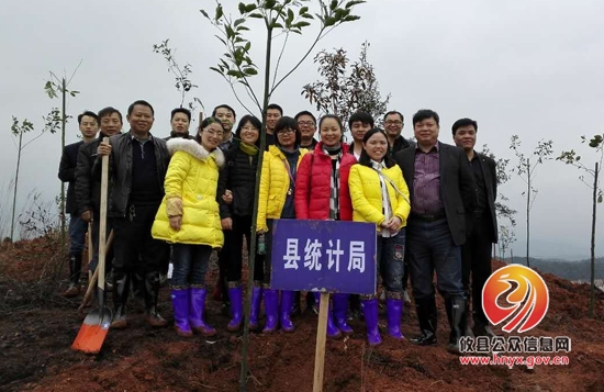 县统计局积极参加义务植树活动