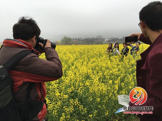 攸县柏市第二届油菜花节盛大开幕