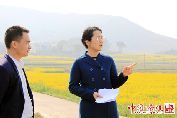 江小忠深入秩堂和高陇镇调研指导工作