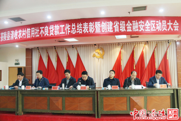 茶陵县全力创建省级金融安全区