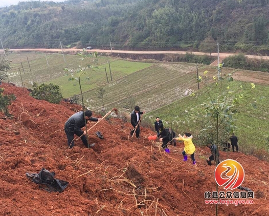县统计局积极参加义务植树活动