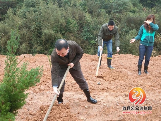 酒埠江镇开展植树节活动