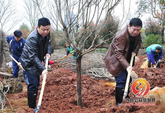 党政军民齐种树 攸州大地添新绿