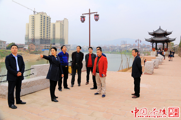 江小忠调研指导文化旅游工作