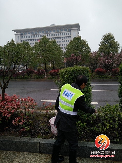 攸县市政园林管理处积极开展城区春季绿化养护工作