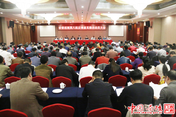 茶陵县召开省委巡视第八组反馈意见整改动员大会