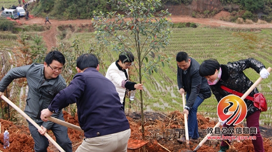 攸县财政局积极参加义务植树活动