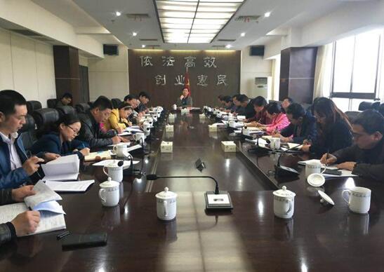 芦淞区召开2016年“项目攻坚年”活动服务责任单位推进部署会