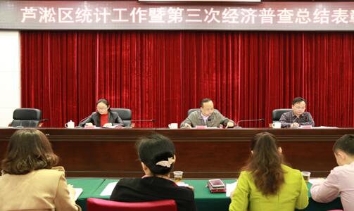 芦淞区召开全区统计工作暨第三次经济普查总结表彰会