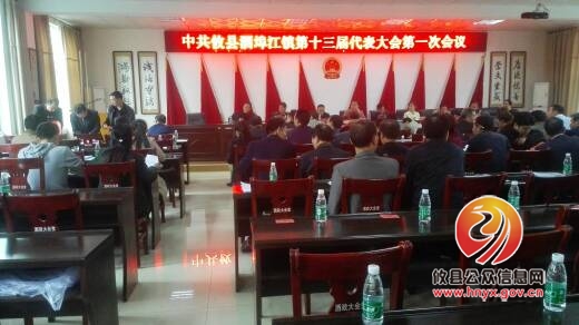 酒埠江镇圆满完成党委换届工作