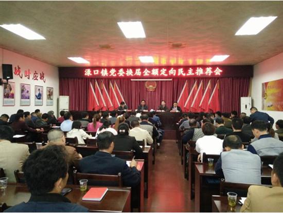 渌口镇召开党委换届全额定向民主推荐会