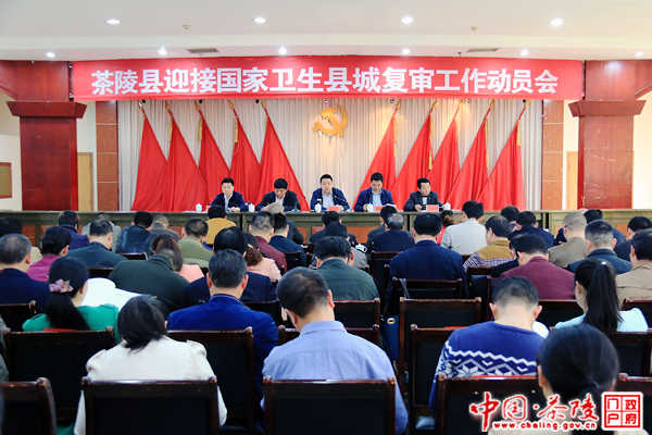 茶陵县迎接国家卫生县城复审工作动员会召开