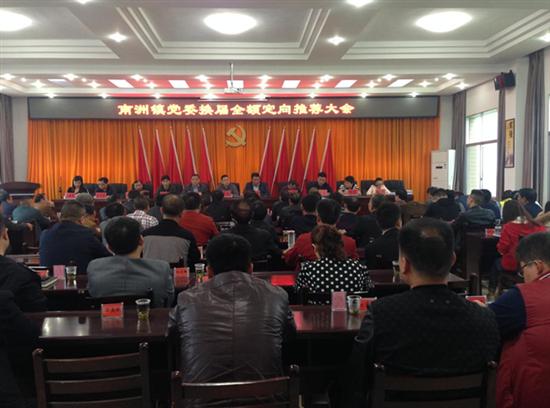 南洲镇召开党委换届全额定向推荐大会