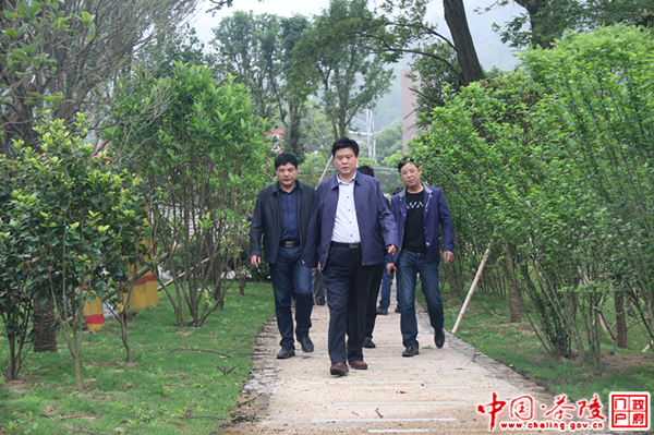 彭新军调研指导城市建设工作