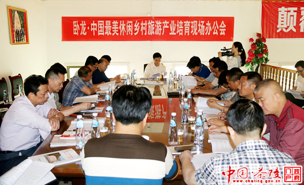 彭新军：将卧龙村打造成为4A级乡村旅游景区
