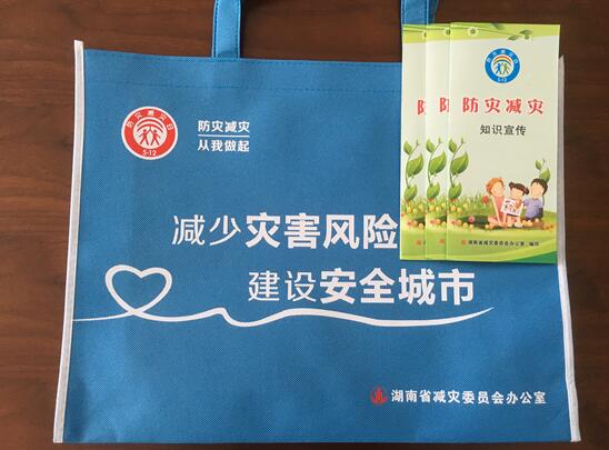 芦淞区民政局开展“5.12”防灾减灾宣传活动