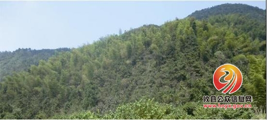 联星街道田富村决定在抗日战场遗址高岗脑撰文立碑