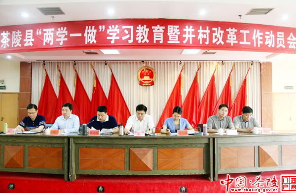 茶陵召开“两学一做”学习教育暨并村改革工作动员会