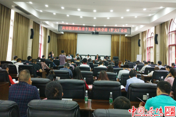 共青团茶陵县委召开十五届六次全委（扩大）会议