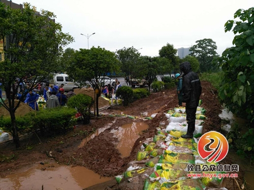 攸县市政园林管理处：暴雨来袭 我们在行动