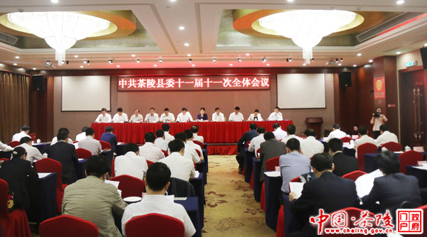 中共茶陵县委十一届十一次全会召开