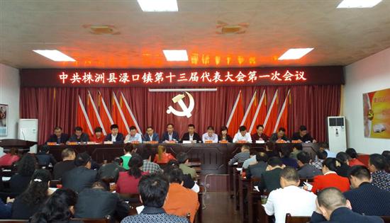中国共产党渌口镇召开第十三届代表大会第一次会议