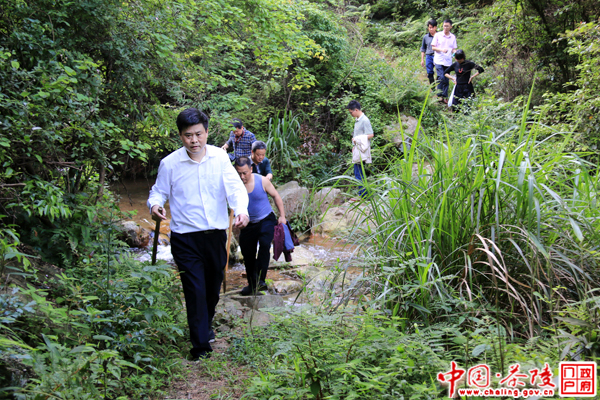 彭新军调研“茶乡花海”项目建设工作