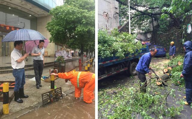 暴雨突袭，区城建局紧急出动防汛抢险
