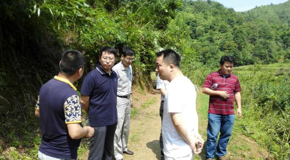 市发改委调研芦淞区开展农经口专项建设基金项目工作