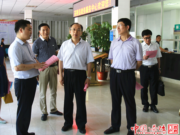 廖跃贵来茶陵县政务服务中心调研