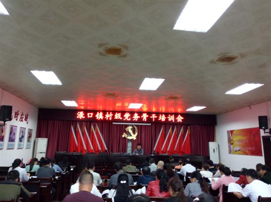 渌口镇召开“两学一做”学习教育党建业务骨干培训会