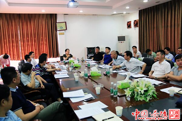 茶陵县2016年第二次规划委员会会议召开