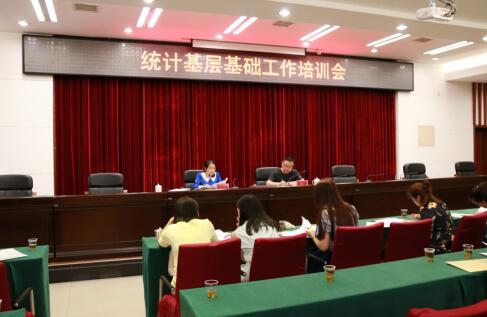 芦淞区统计局召开基层基础工作培训会议