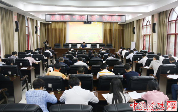 彭新军带头讲“两学一做”专题党课