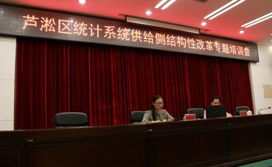 市统计局党组成员、总统计师庄云庭来我区进行专题培训