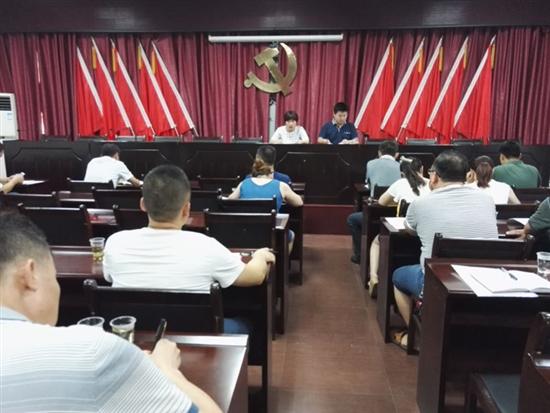 渌口镇集中学习习近平总书记“七一”重要讲话精神